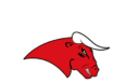coesfeld-bulls_Logo_weiss