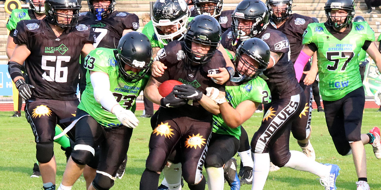 Minden Wolves Minden Wolves Aufstieg