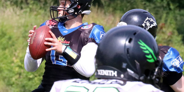 wolves-cubs_01 wolves-cubs_01