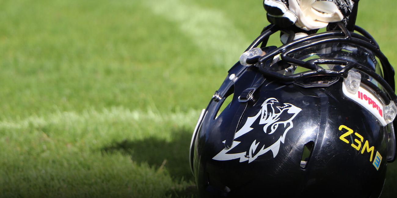 wolves_meisterschaft_teaser